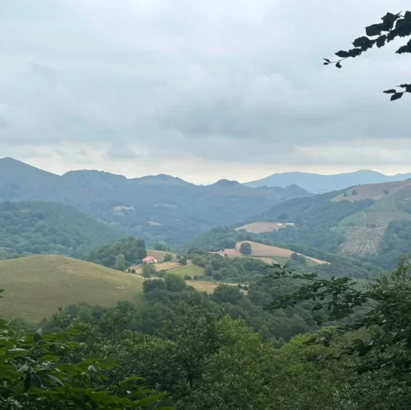Zelené kopce a roztroušené usedlosti pod zataženou oblohou